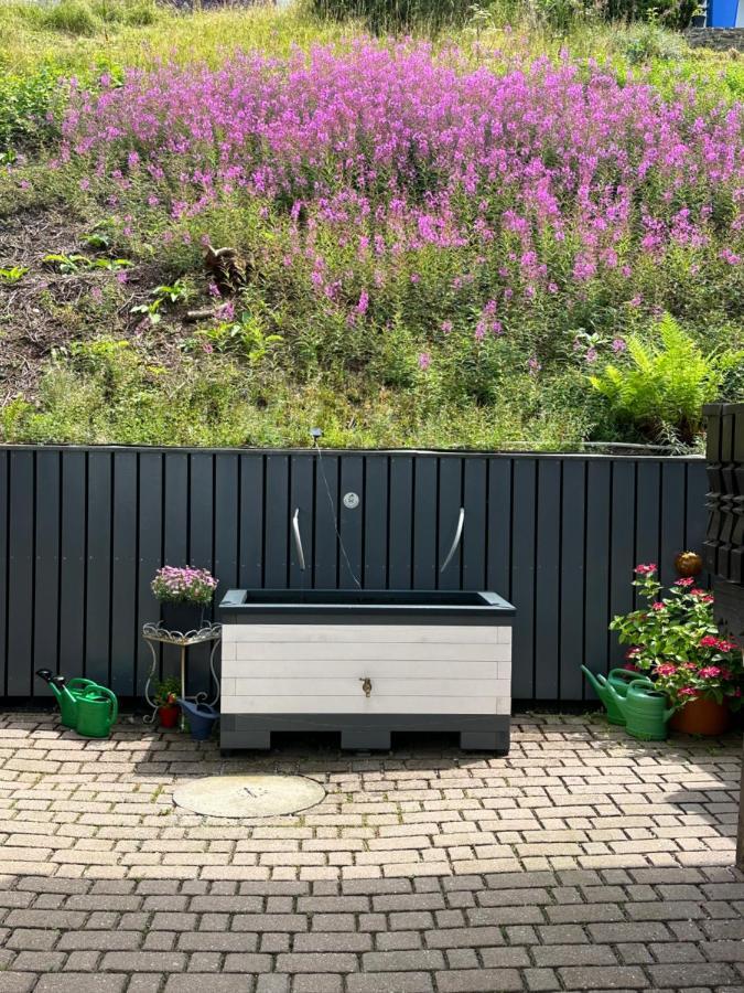 Modernes Top Apartment Mitten Im Bayerischen Wald + Wlan Kostenfrei Schofweg Экстерьер фото